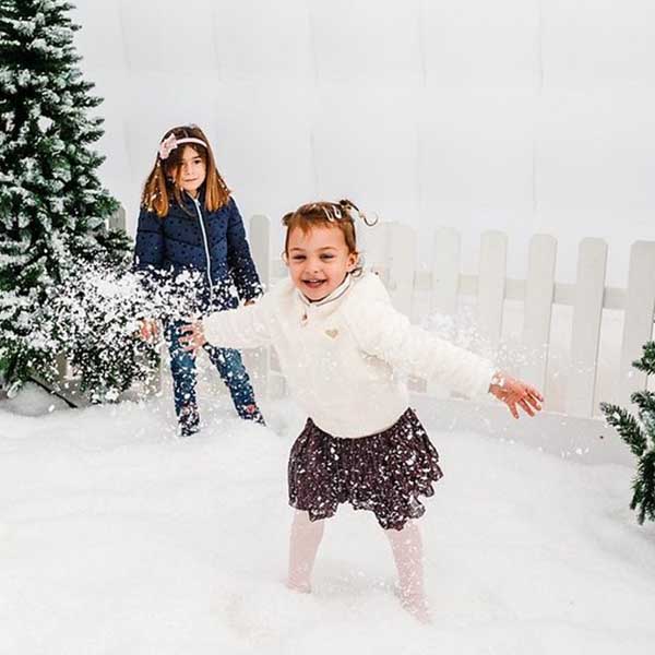 snow1