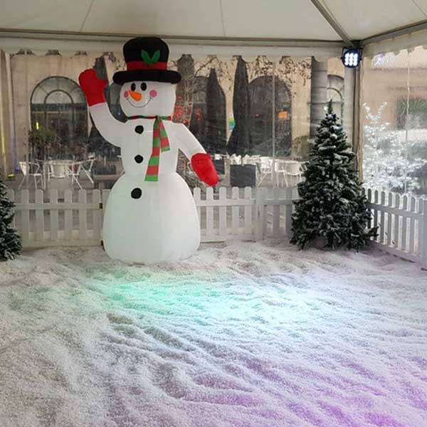snow3