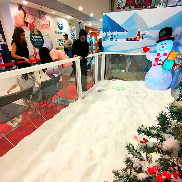 snow2
