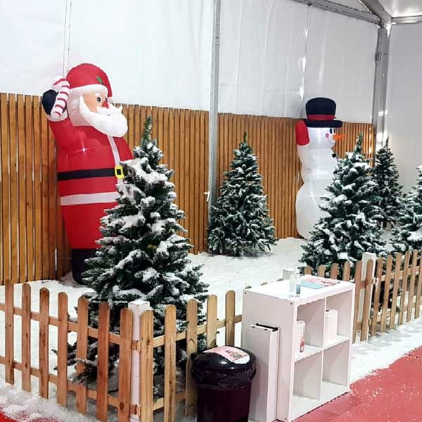 snow4